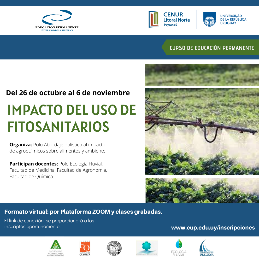 Flyers UEP 2020 4