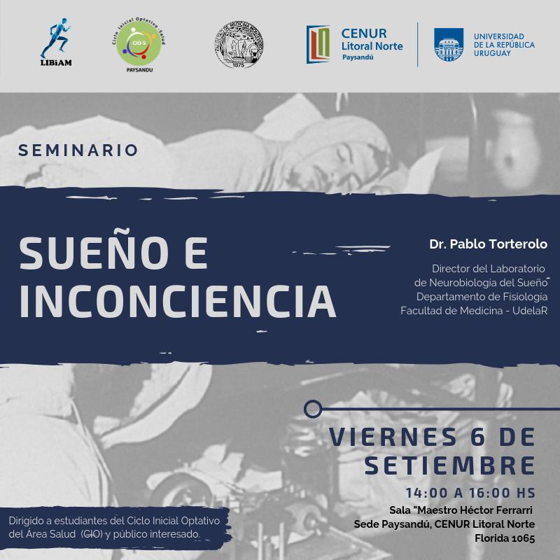Seminario Sueño