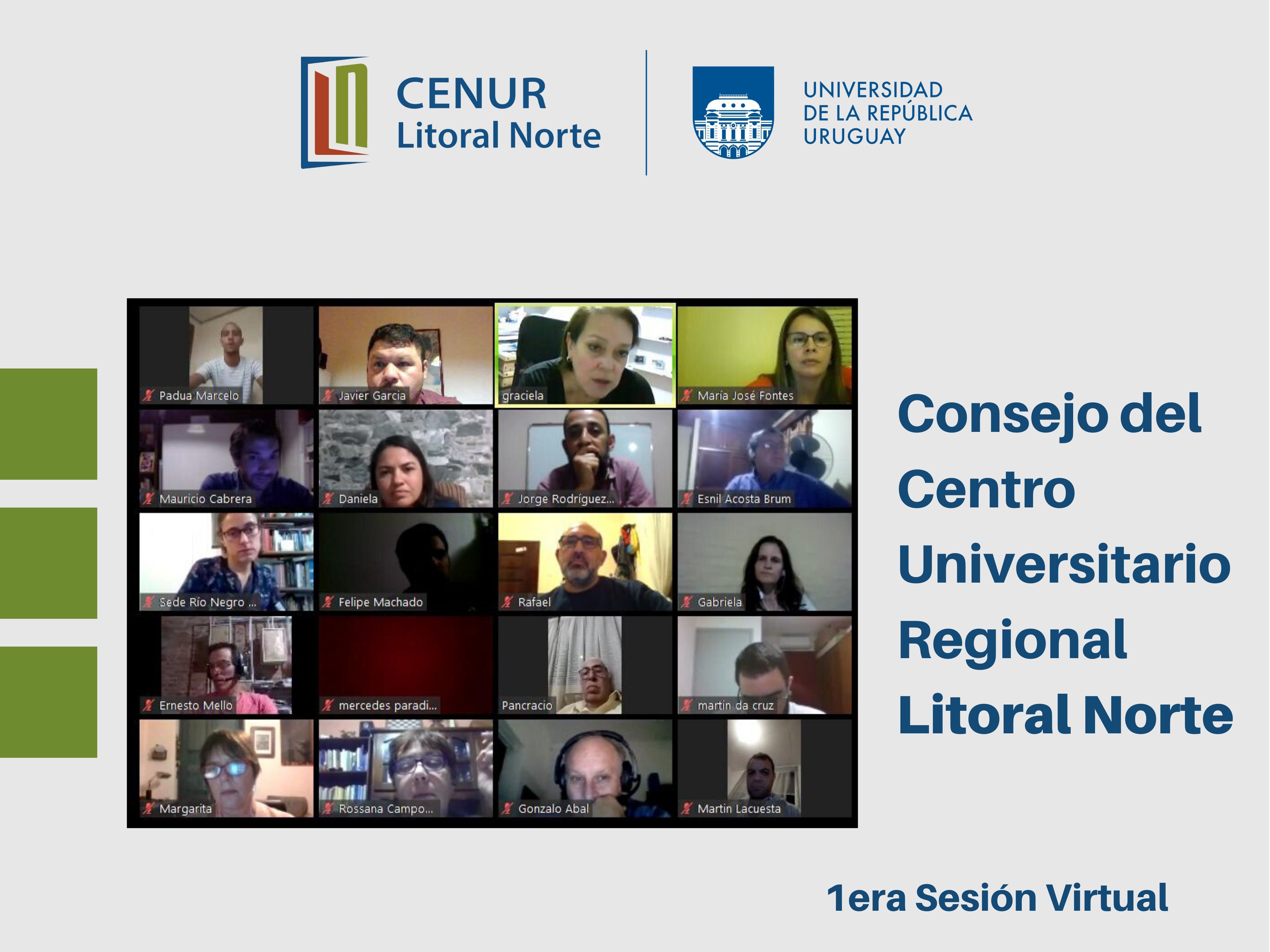 Consejo Cenur Virtual P