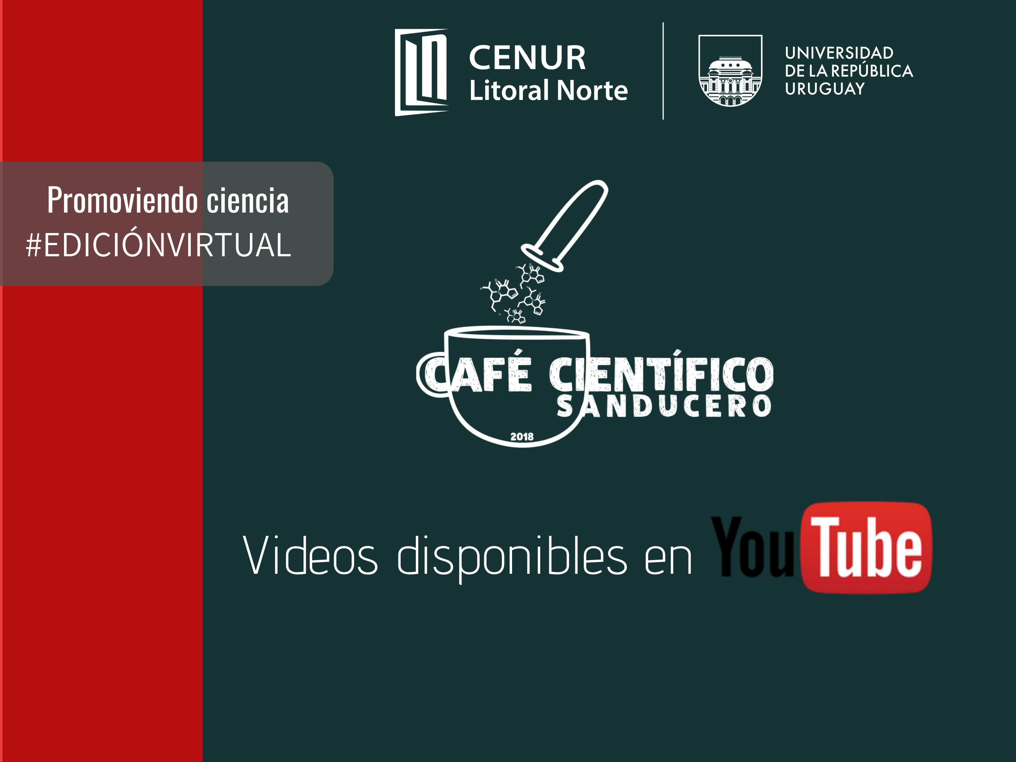 cafe youtube