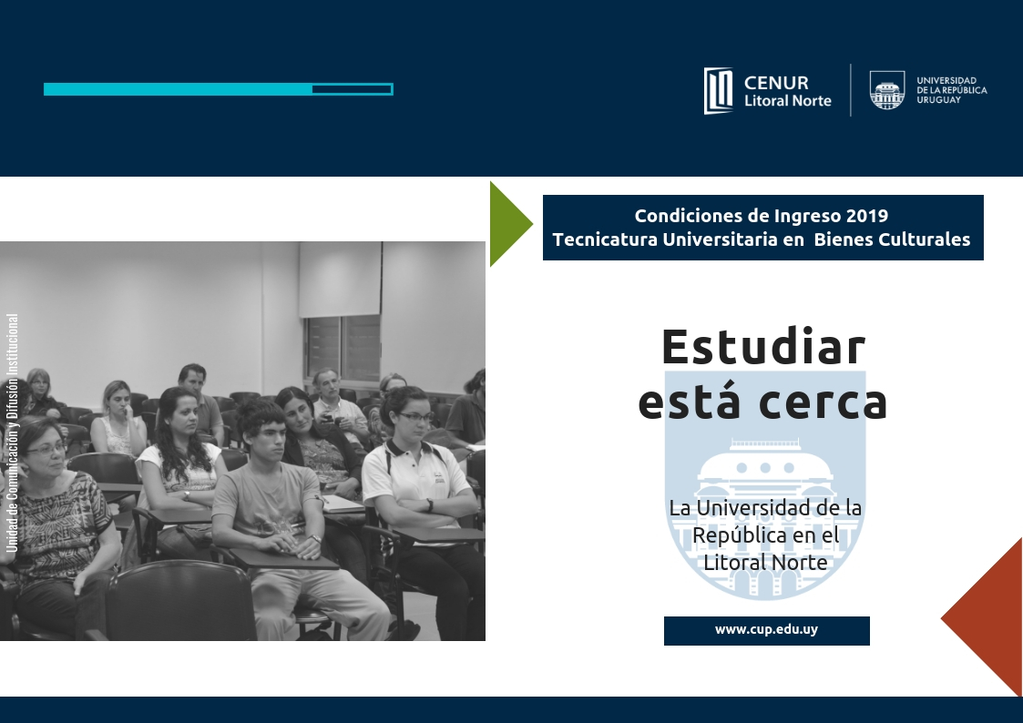 Ingreso 2019