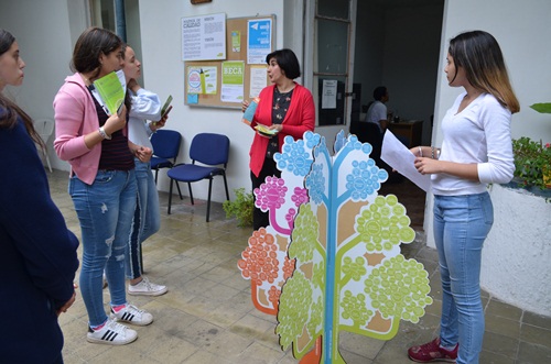 feria estudiar cerca 120