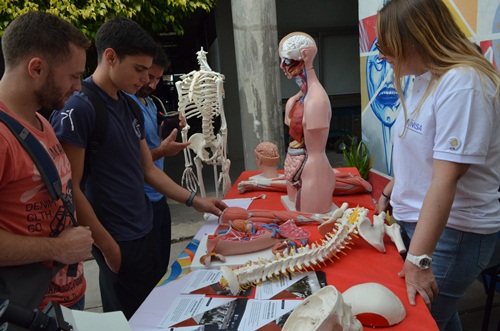 feria estudiar cerca 73