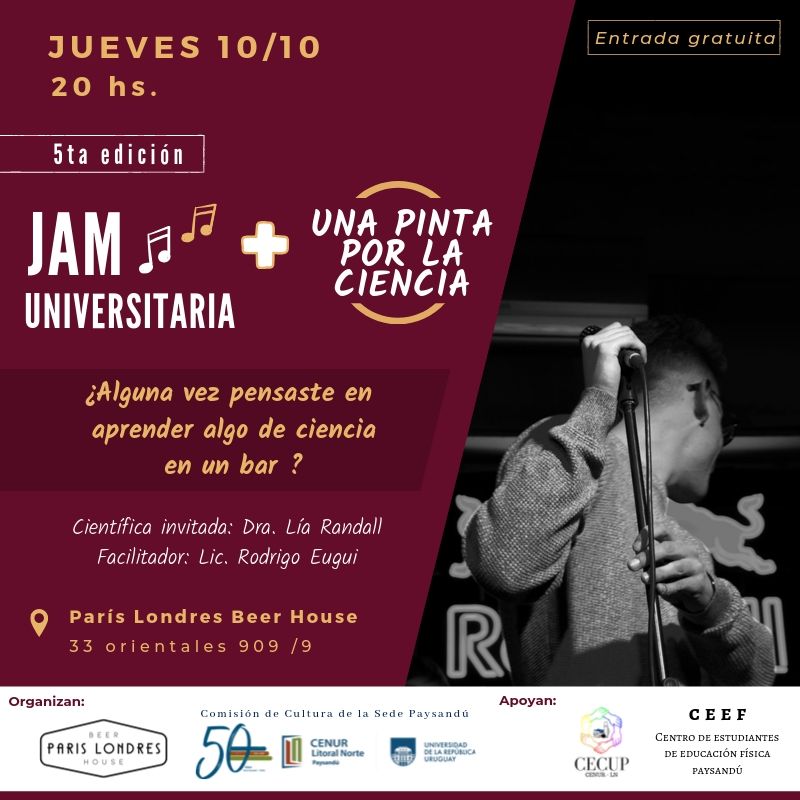 5ta jam
