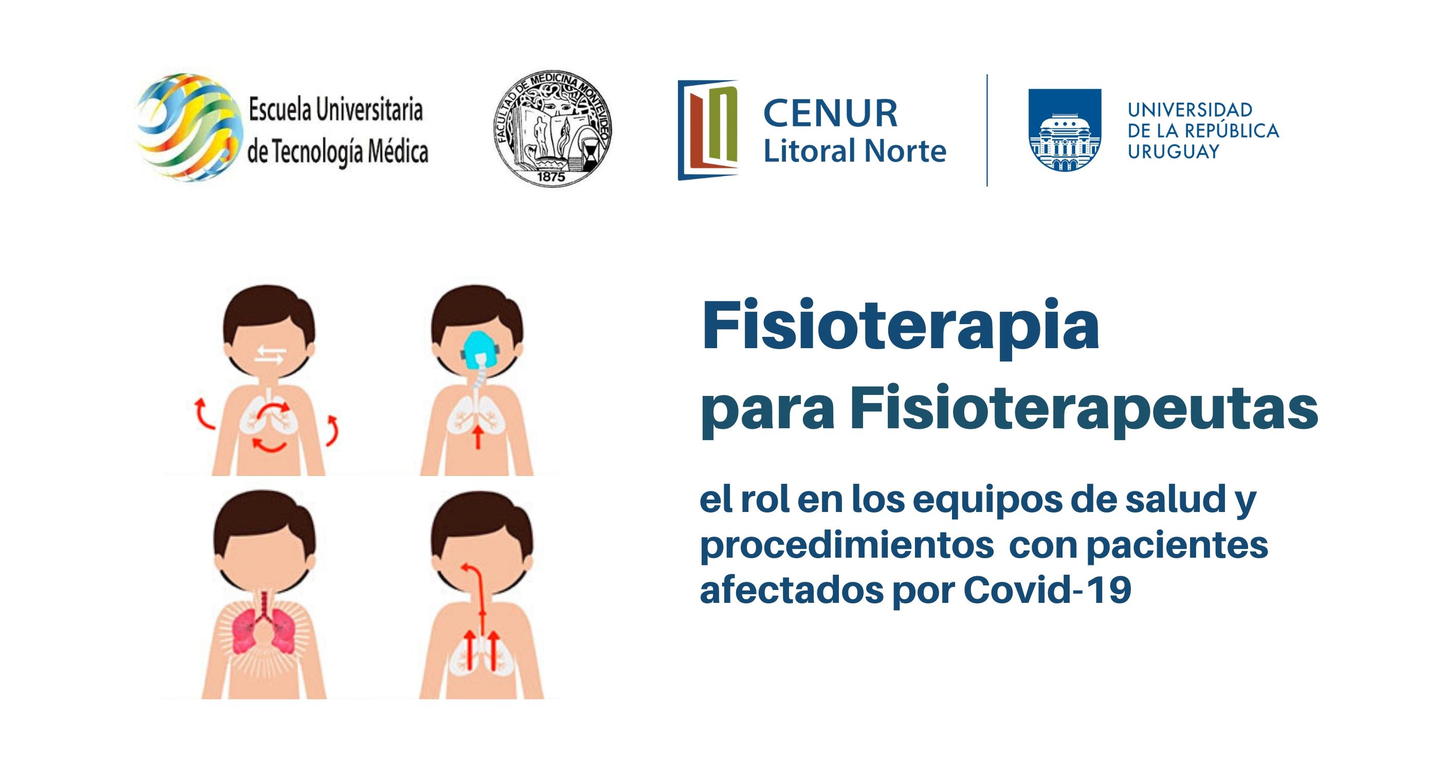 Fisioterapia video para fisios
