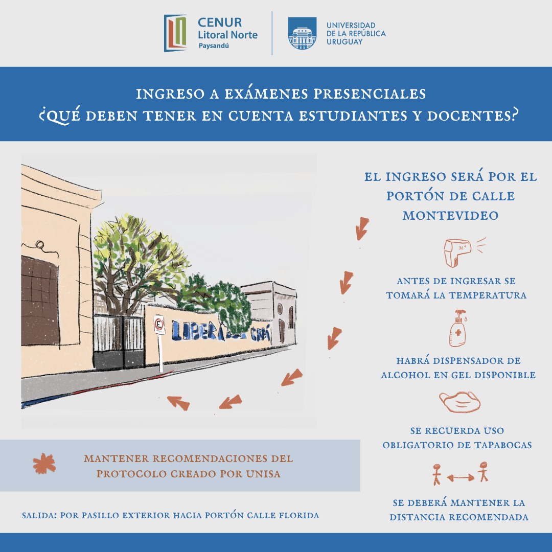 protocolo ingreso examenes