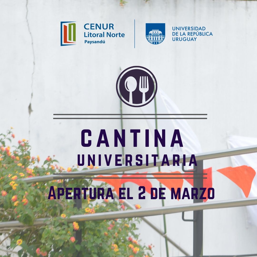 cantina universitaria