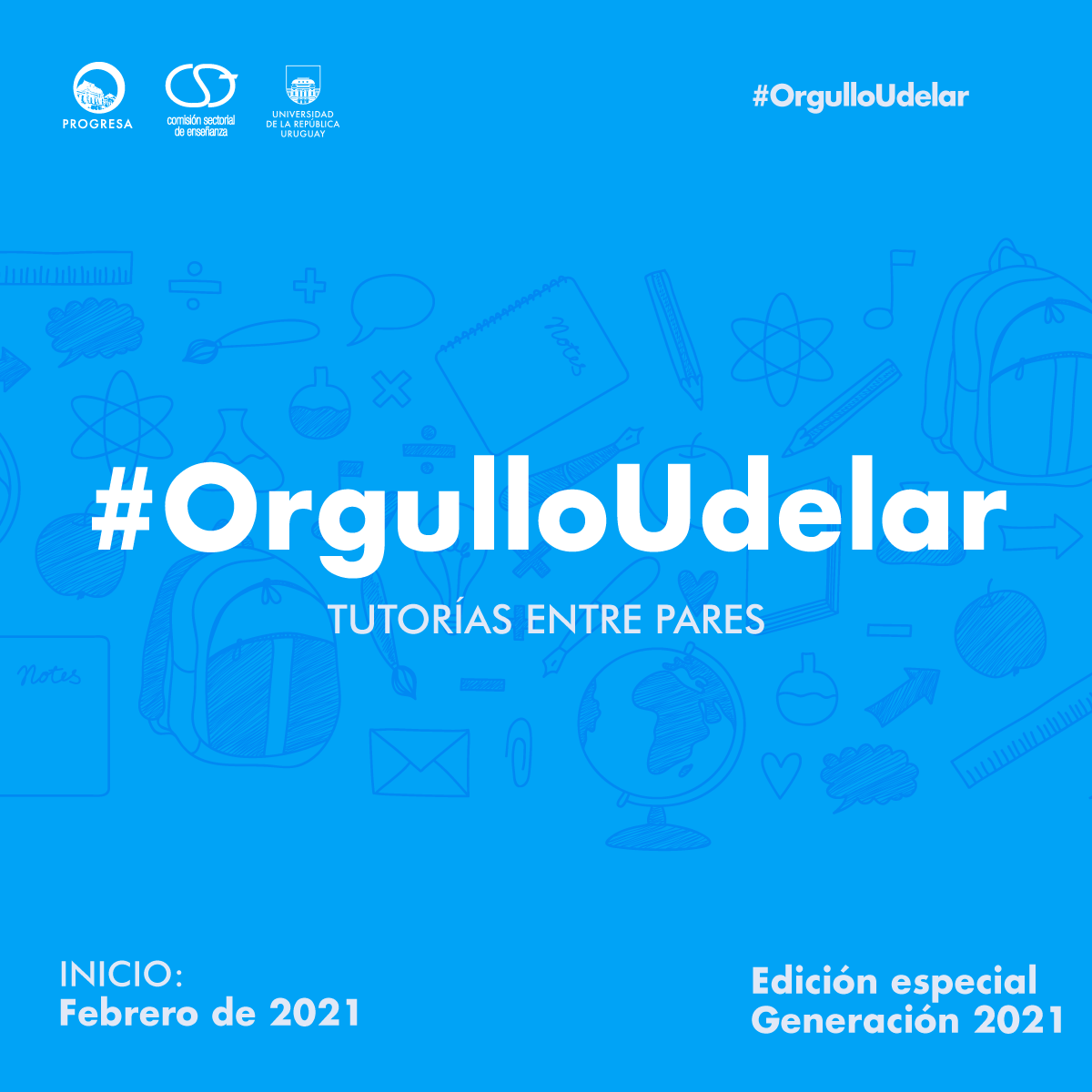 orgullo udelar