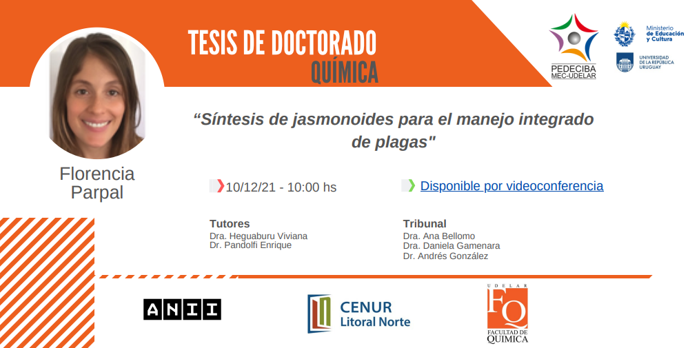 Parpal doctorado