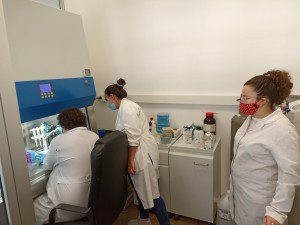 Prácticos Lab 2