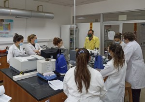 Prácticos Lab 3