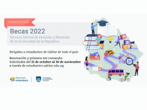 bienestar becas