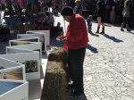 La Sede Paysandú de la Universidad de la República estuvo presente 