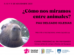 cómo nos miramos entre animales