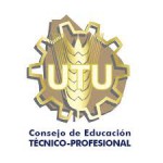 descarga