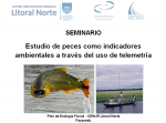 ecología fluvial