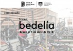 info CUP bedelia