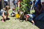 lanitaPlantando mediana 0051