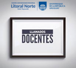 llamadito