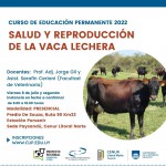 producción vaca lechera v2