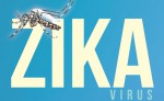 zika virus