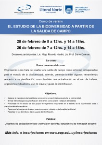 Curso verano