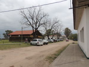 DSCN5920