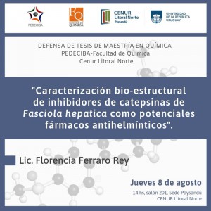 Defensa tesis maestriaFFerraro