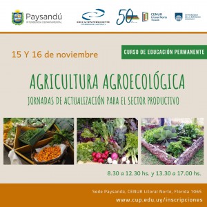 Flyers UEP 20195