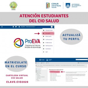 GRÁFICO CIO SALUD EVA
