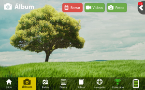 Imagen árbol