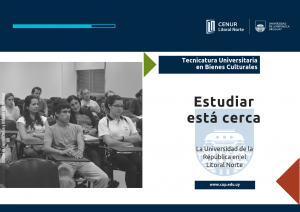 Ingreso 2019