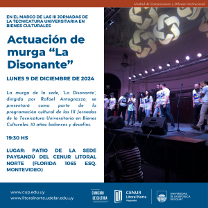 Institucional Cultura17