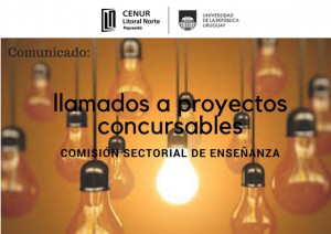 LLAMADO CSE