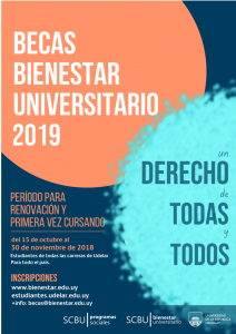 becas renueva 2019