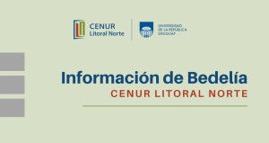 bedelia informa marzo 2020