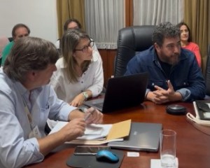 consejo fvet3