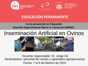 curso jujo gil