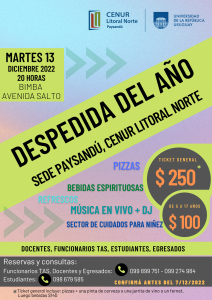 despedida año sede pay