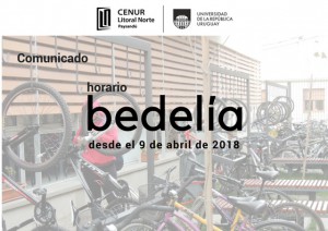 info CUP bedelia