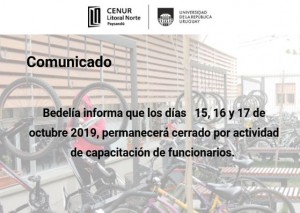 info CUP bedelia