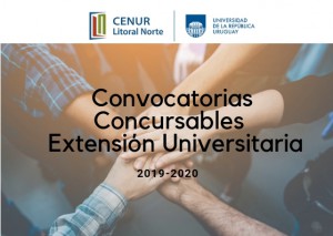 info CUP extensión consursable