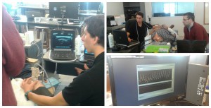 ingenieria biológica collage