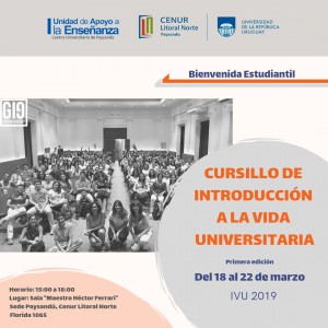 ivu 2019 1