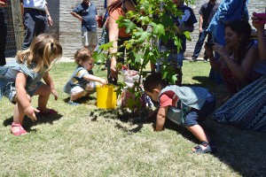lanitaPlantando mediana 0051