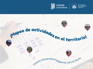 mapeo actividades en el territorio pay