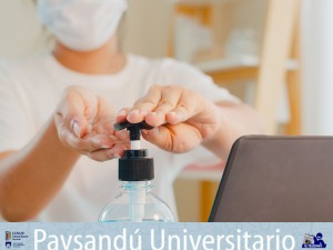 pdu univ primera entrega