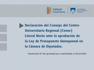 resolución consejo presupuesto