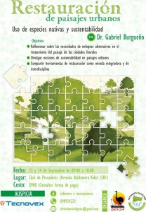 restauración paisajes urbanos